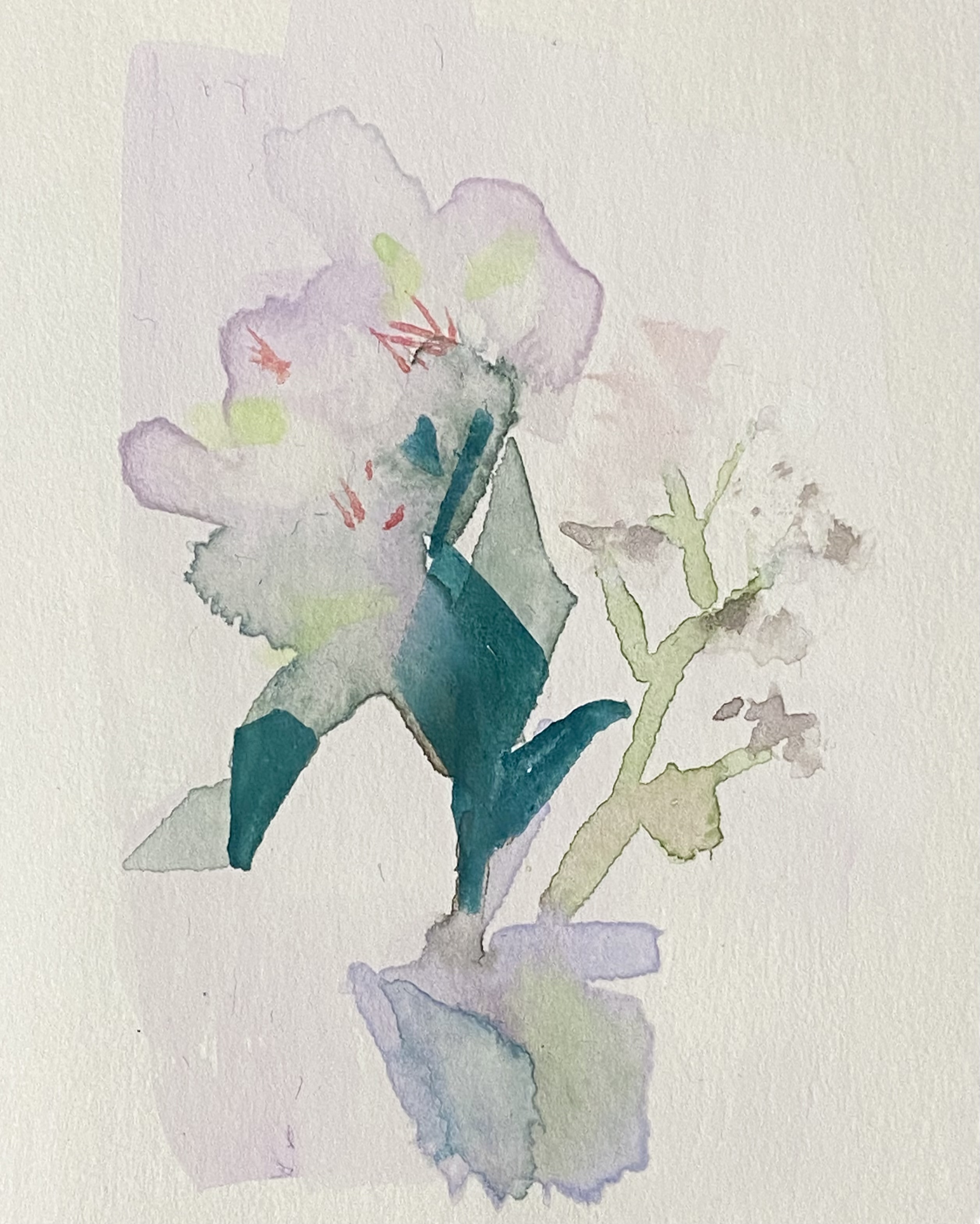 20260516004434-admin.jpeg